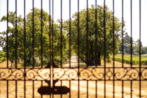 Chateau Haute Serre — vue 6