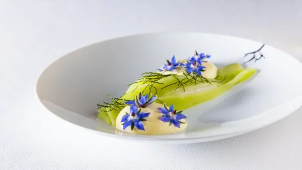 Restaurant Edem — vue 2