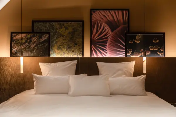 Chateau de Vignee — vue 2