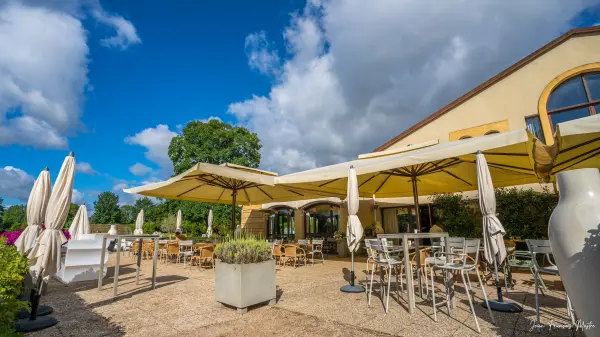 Domaine de la Grange aux Ormes — vue 6