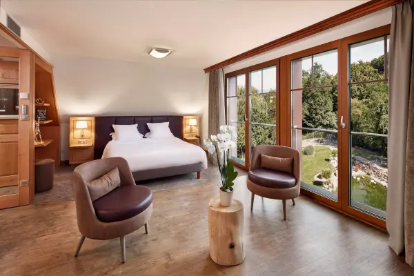 Hotel Spa Restaurant Domaine du Moulin — vue 3