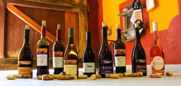 Terroirs et Proprietes — vue 2