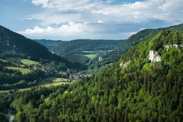 Hotel Taillard — vue 6