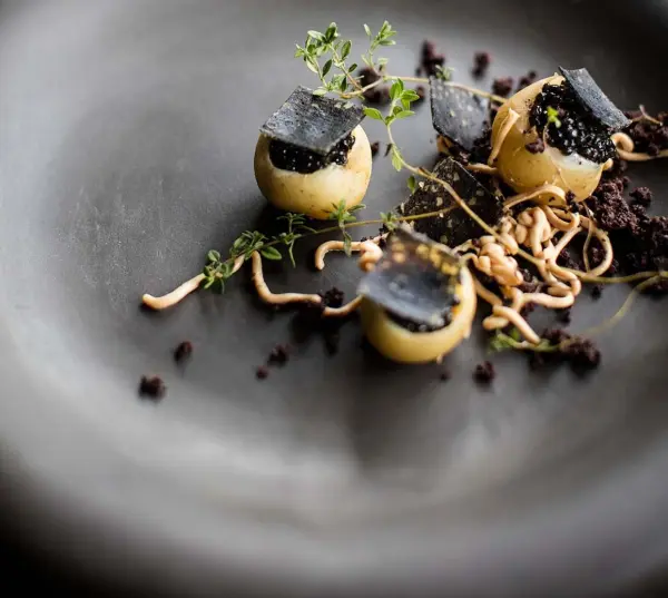 Jan Restaurant — vue 1