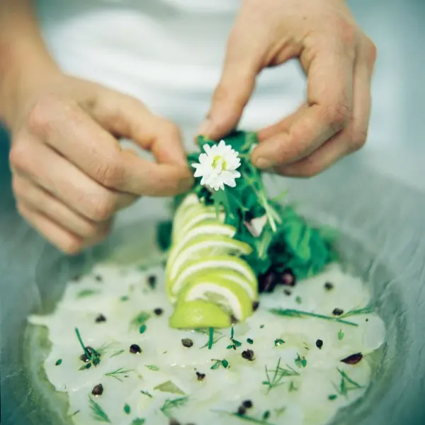 La Clairiere Bio & Spa Hotel — vue 11