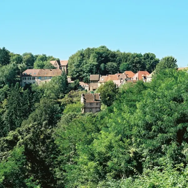 La Clairiere Bio & Spa Hotel — vue 12