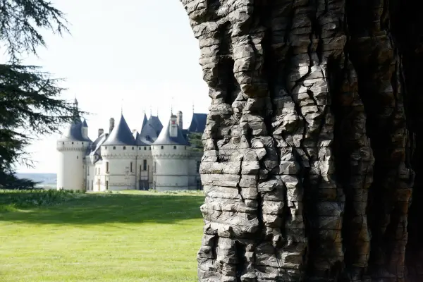 Le Bois des Chambres - Hotel Restaurants du Domaine — vue 1