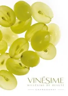 Le Goluret — vue 14
