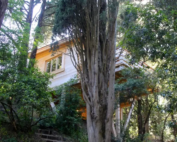 Les Cabanes Dans les Bois - Hôtel*** — vue 4