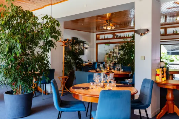 Hôtel les Glycines Restaurant les Hydropathes — vue 10