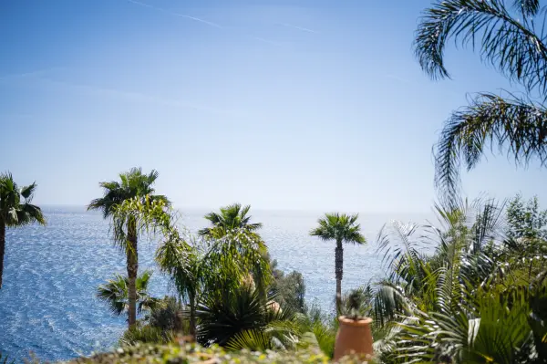 Les Pins Penchés — vue 6