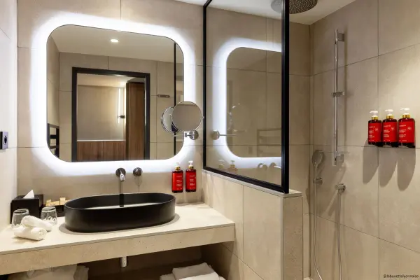 Pullman Lyon — vue 6