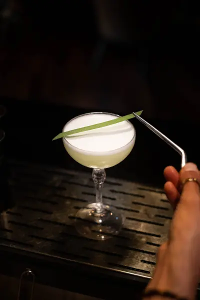 Society Bar — vue 1