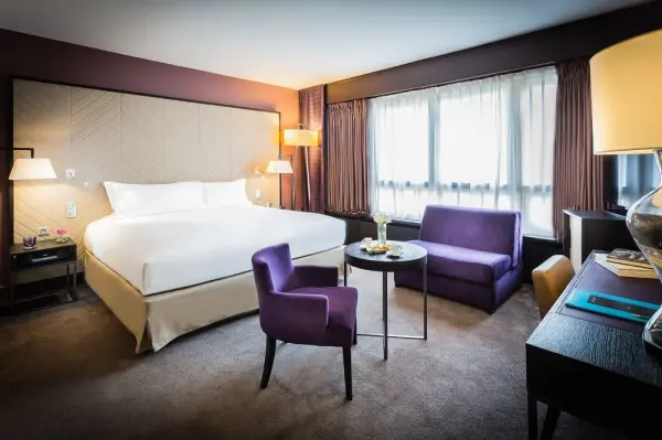 Sofitel Strasbourg Grande Ile — vue 2