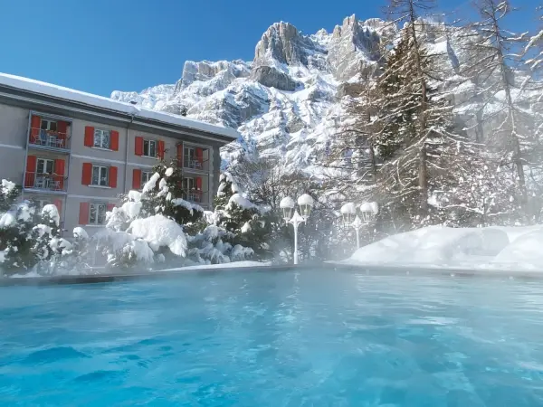 Hotel les Sources des Alpes — vue 4