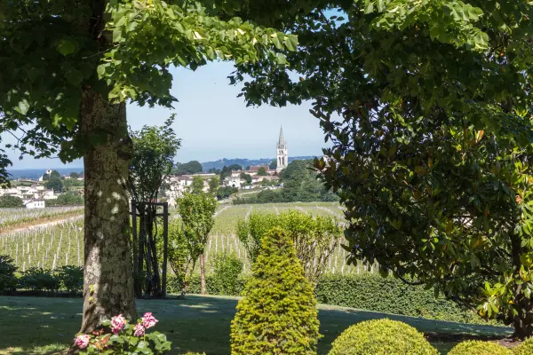 Les Belles Perdrix de Troplong Mondot — vue 5