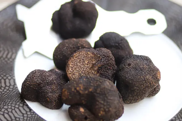 Truffes Folies — vue 2