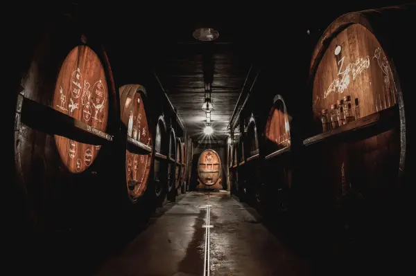 Au Péché Vigneron - Vins Zeyssolff — vue 8