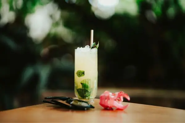 Hotel Bambou — vue 2