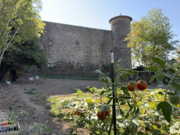 Chateau Chapelle Villars — vue 3