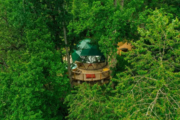 Bois de Luna — vue 5