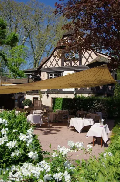 Restaurant Buerehiesel — vue 6