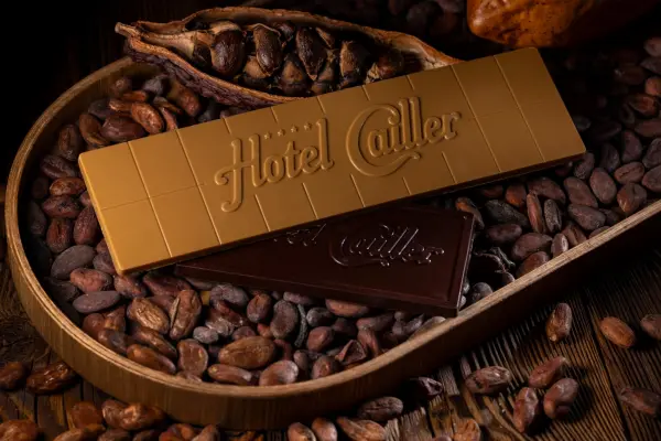 Hotel Cailler — vue 8