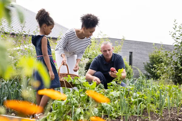 La Grée des Landes, Eco-Hôtel Spa Yves Rocher — vue 15