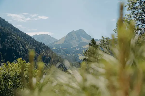 Chalet Flachaire — vue 4