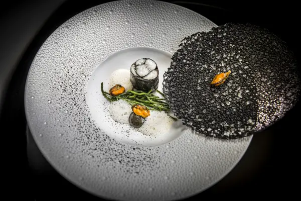 Chef Marc Meurin — vue 11