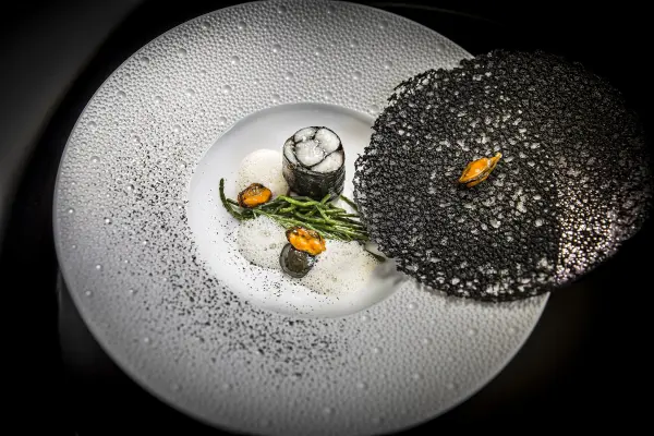 Chef Marc Meurin — vue 11