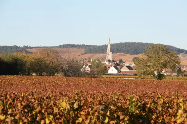 Le Dracy Hotel et Spa Restaurant la Garenne — vue 1