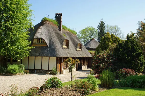 Le Petit Coq aux Champs — vue 1