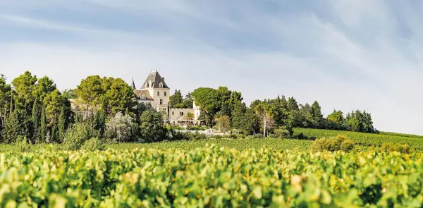 Château les Carrasses — vue 1