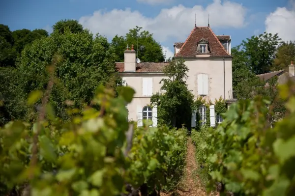 Les Caves de la Dame — vue 1