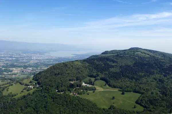 Domaine des Avenieres — vue 1