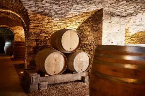 Château Saint Aubin — vue 6