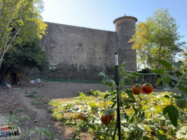 Chateau Chapelle Villars — vue 3