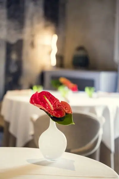 Restaurant Sevin — vue 4