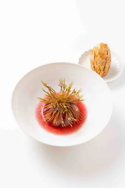 Restaurant Pic*** — vue 10