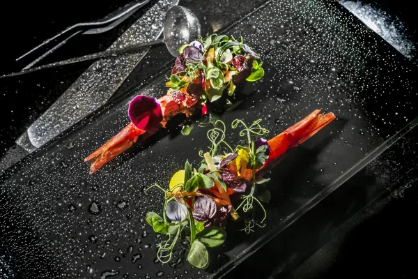Apicius — vue 4