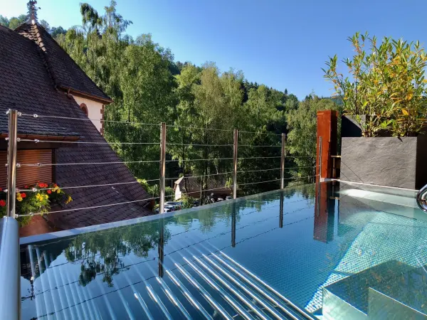 Hostellerie la Cheneaudiere & Spa — vue 15