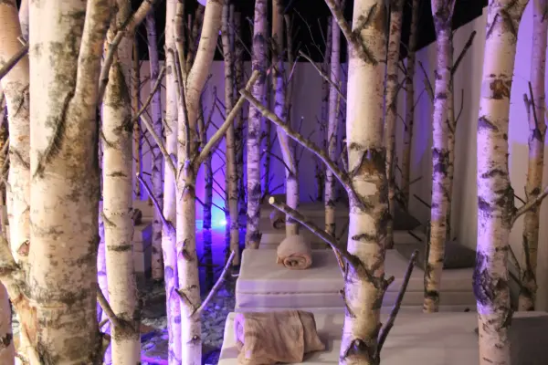 Hostellerie la Cheneaudiere & Spa — vue 20