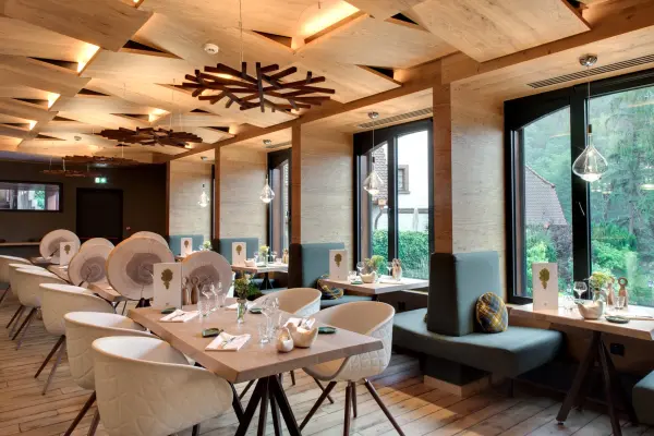 Hostellerie la Cheneaudiere & Spa — vue 6