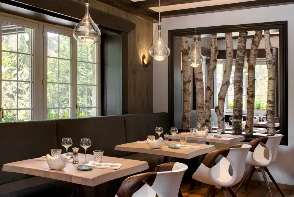 Hostellerie la Cheneaudiere & Spa — vue 8
