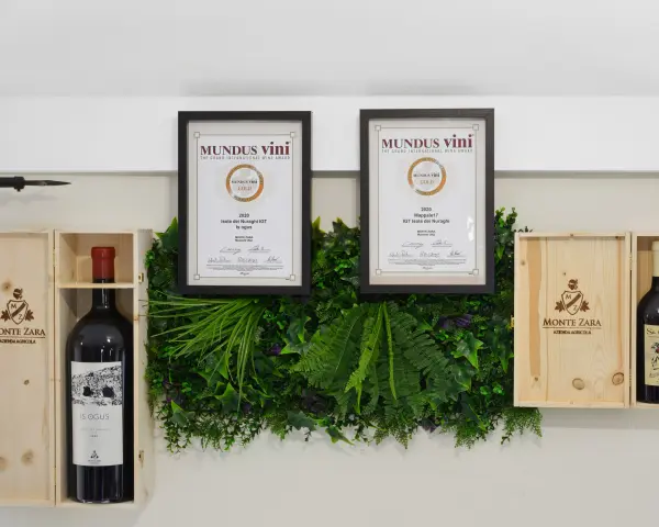 Aux Dix Vins — vue 2