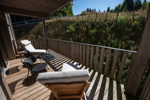 Chalet Hôtel le Collet — vue 11