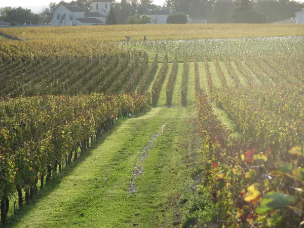 Travers-Chateau Belloy — vue 3