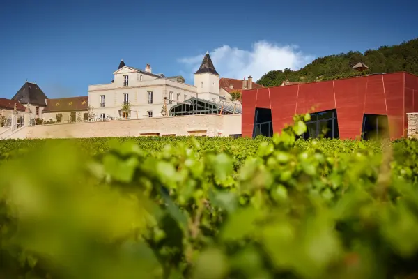 Château Saint Aubin — vue 3