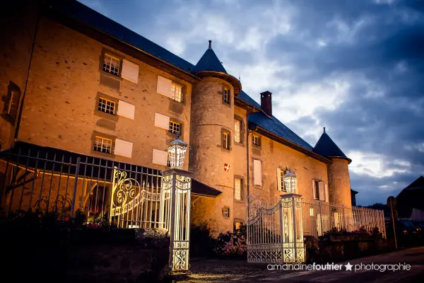 Chateau des Comtes de Challes — vue 11